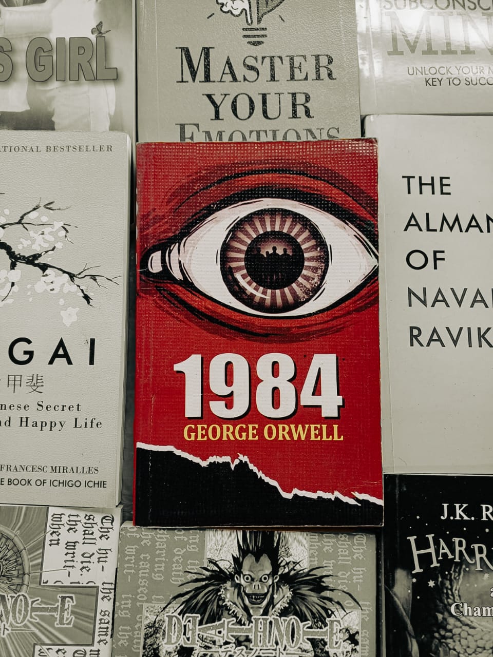 Book Photography : 1984