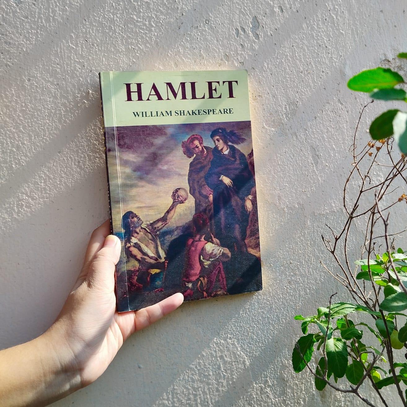 Book Photography : Hamlet